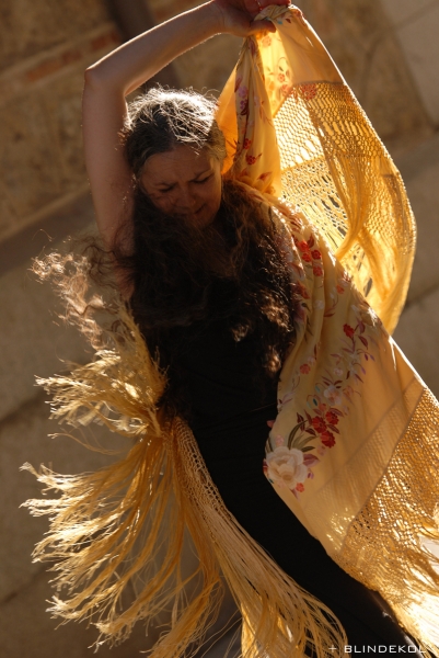 Flamenco Workshops with Carmela Greco