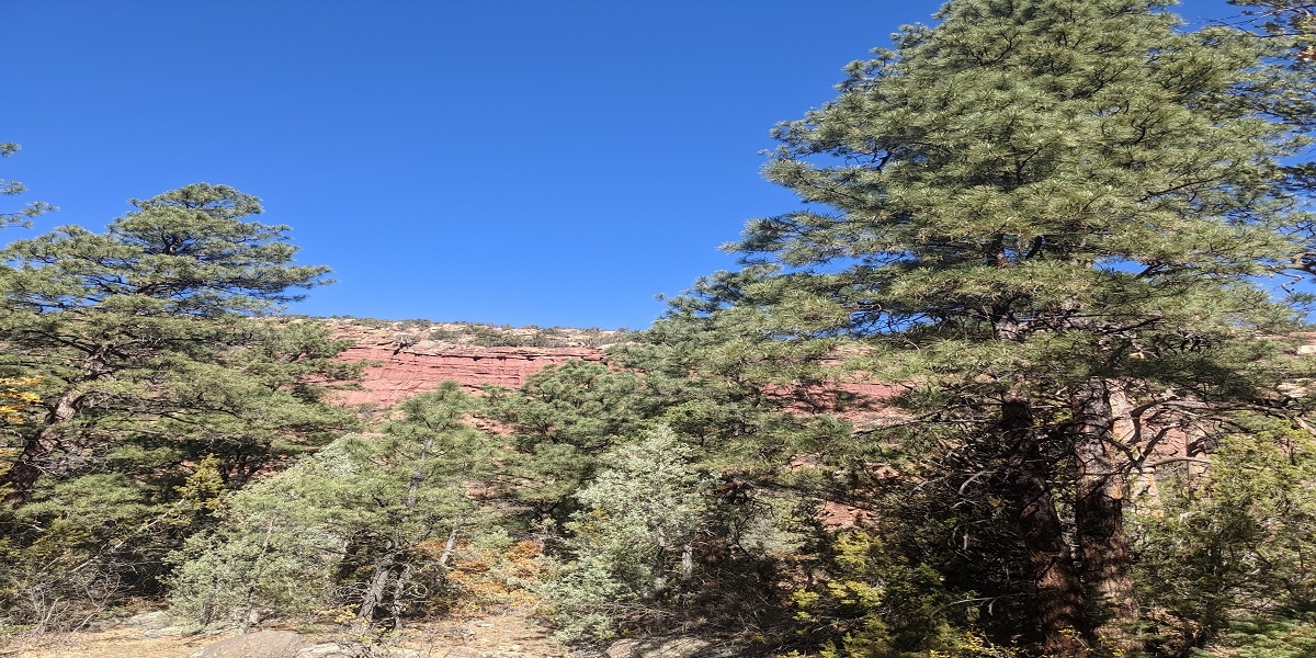 Earth Day Hike at Jemez Historic Site