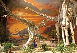 CulturePass - New Mexico Museum of Natural History and Science