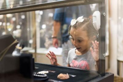30 NMMNHS 2017 Opal Exhibit 5 yr old girl peers into display case