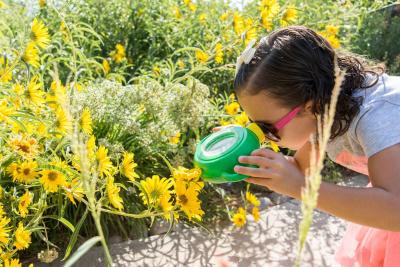 30 NMMNHS 2017 Girl watering in Garden