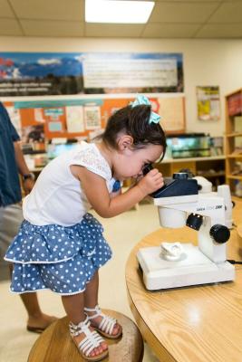 30 NMMNHS 2017 3 year old girl looks through microscope