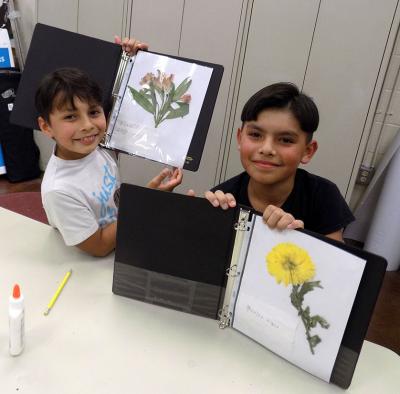 Benito and Juan Andres Angel showing off finished pages from their plant collection, Courtesy: NM Museum of Natural History & Science