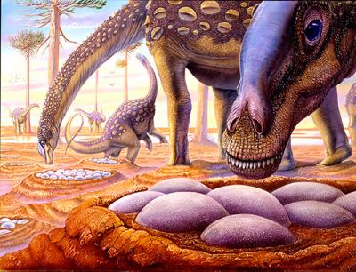 30-NMMNHS-Rey Sauropod laying