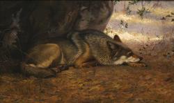 The Sleeping Wolf