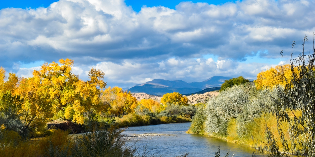 New Mexico Outdoor Pass: FISH