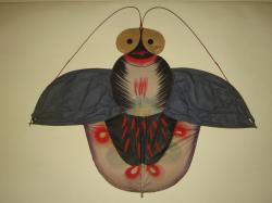 Insect Kite