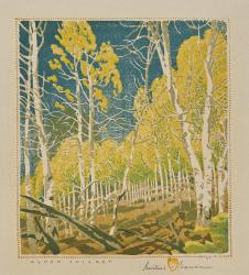 Aspen Thicket