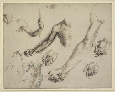 Studies for Adam and Eve