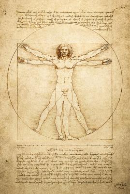 Vitruvian Man, Courtesy: Da Vinci -The Genius Exhibition, Courtesy: Grand Exhibitions