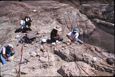 Excavation of Bisti Beast (1996) in the Bisti/De-Na-Zin Wilderness Area near Farmington, N.M. Ray Nelson, Courtesy: NM Museum of Natural History & Science