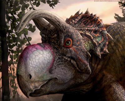 30-NMMNHS-Paleoart 2018-Ava, portrait of a new species of ceratopsian dinosaur. Artwork by Brian Engh, dontmesswithdinosaurs.com, commissioned by the Western Science Center.