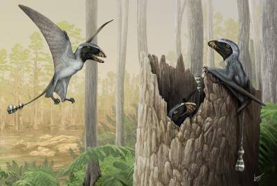 30-NMMNHS-Paleoart 2018- A mob of Dimorphodon, an early Jurassic pterosaur. Digital painting by Gabriel Ugueto.