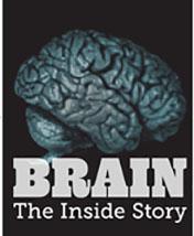 30-NMMNHS-Brain: The Inside Story