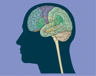 30-NMMNHS-Brain: The Inside Story