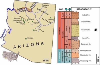 30-NMMNHS-Map of Arizona
