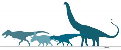 Tyrannosaurus mcraeensis size comparison